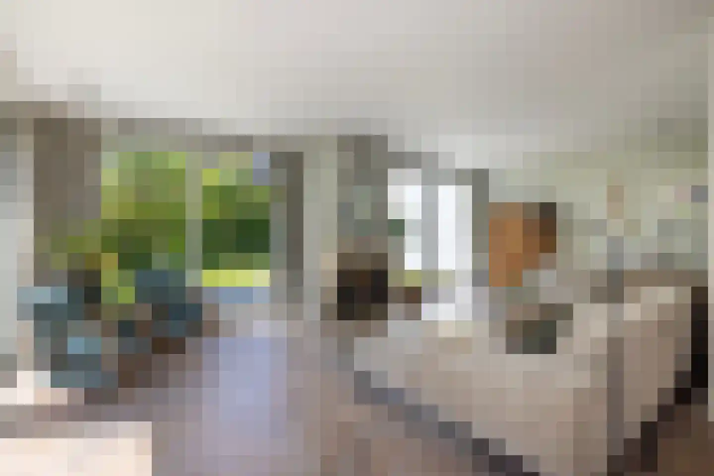 Berg en Bos 3 Hattem thumbnail 18