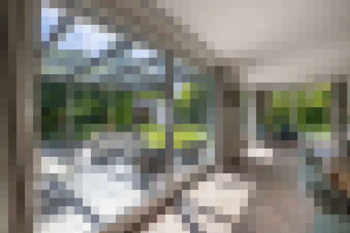 Berg en Bos 3 Hattem thumbnail 23
