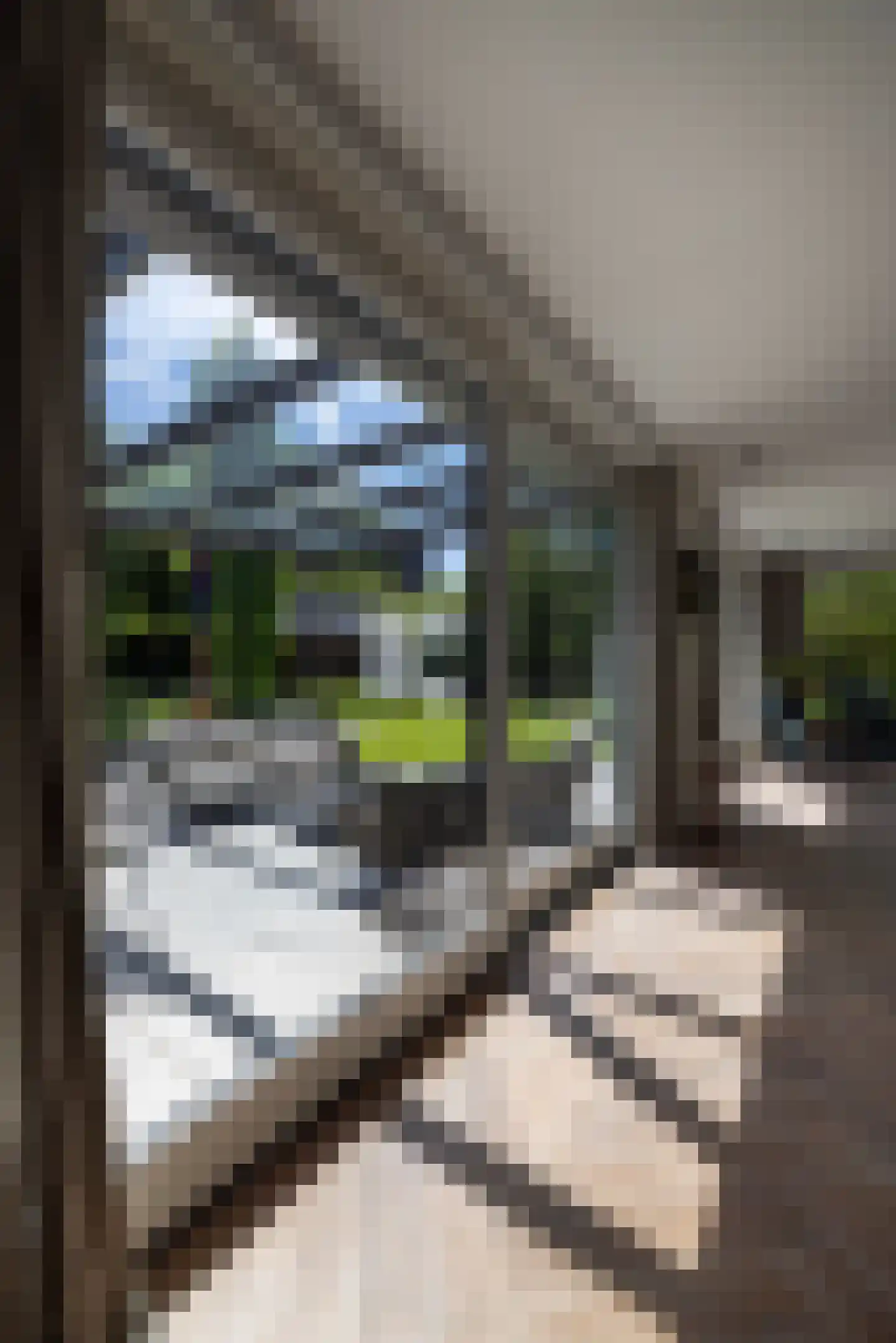 Berg en Bos 3 Hattem thumbnail 24
