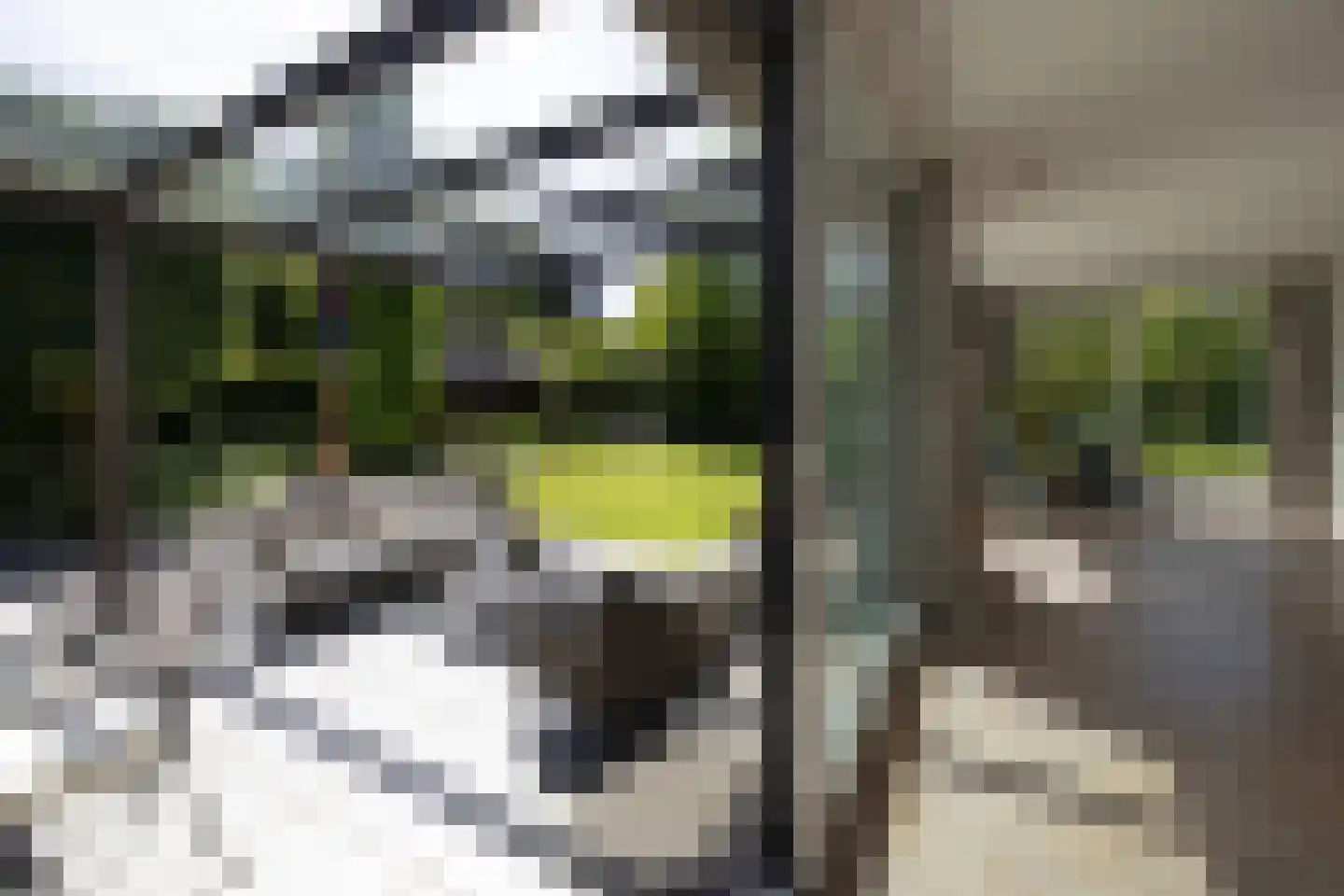 Berg en Bos 3 Hattem thumbnail 25