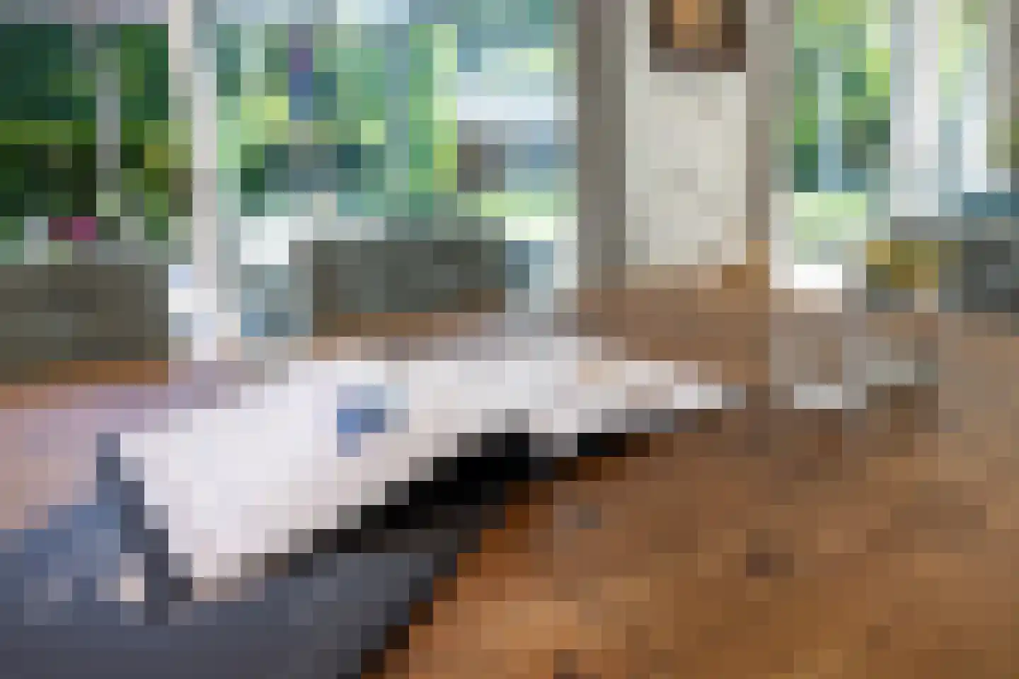Berg en Bos 3 Hattem thumbnail 27