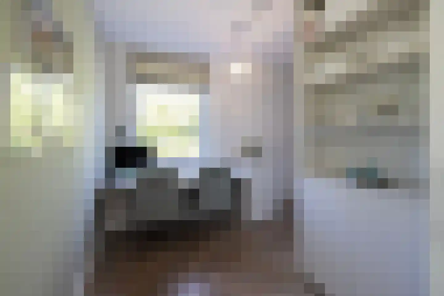 Berg en Bos 3 Hattem thumbnail 37