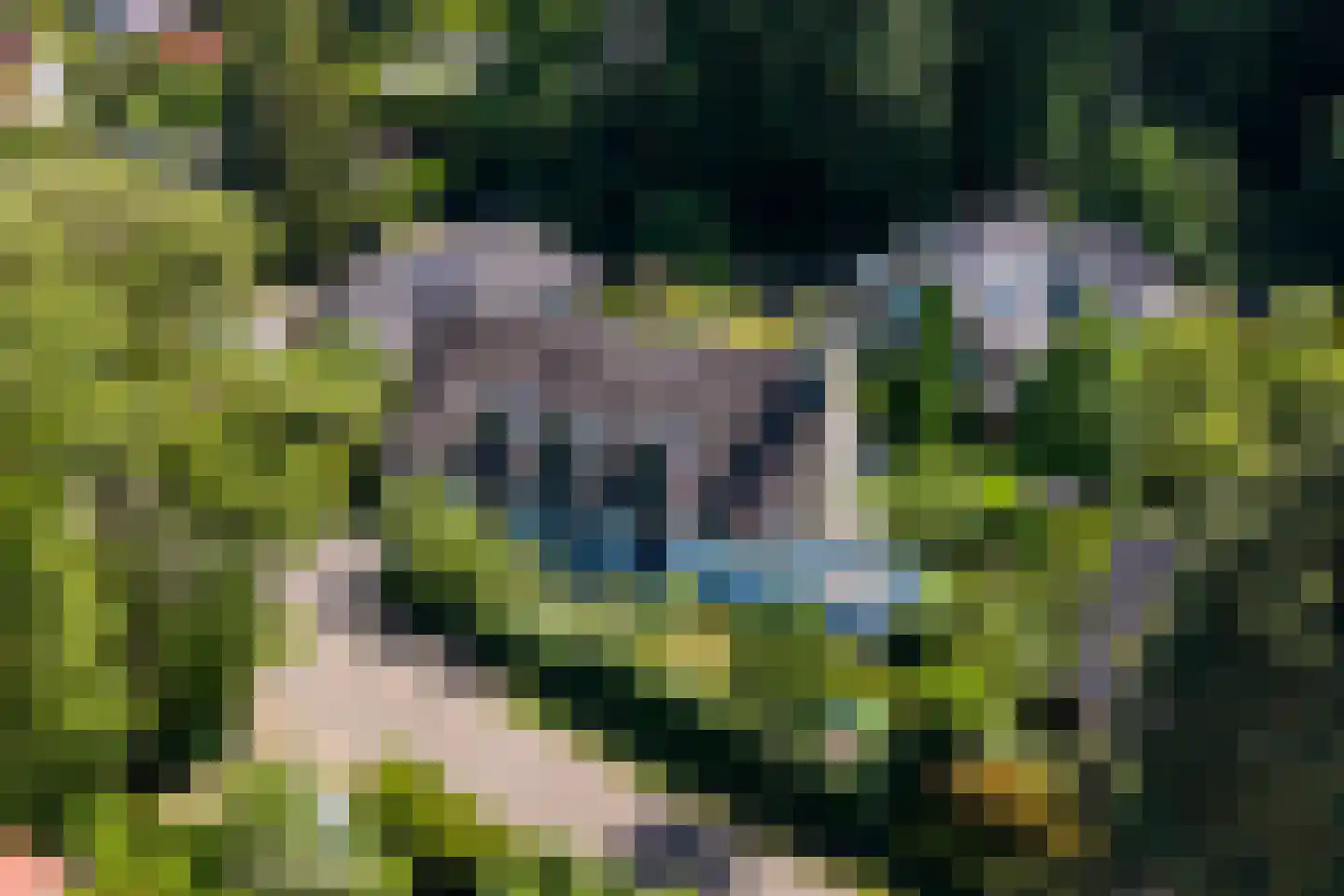 Berg en Bos 3 Hattem thumbnail 6