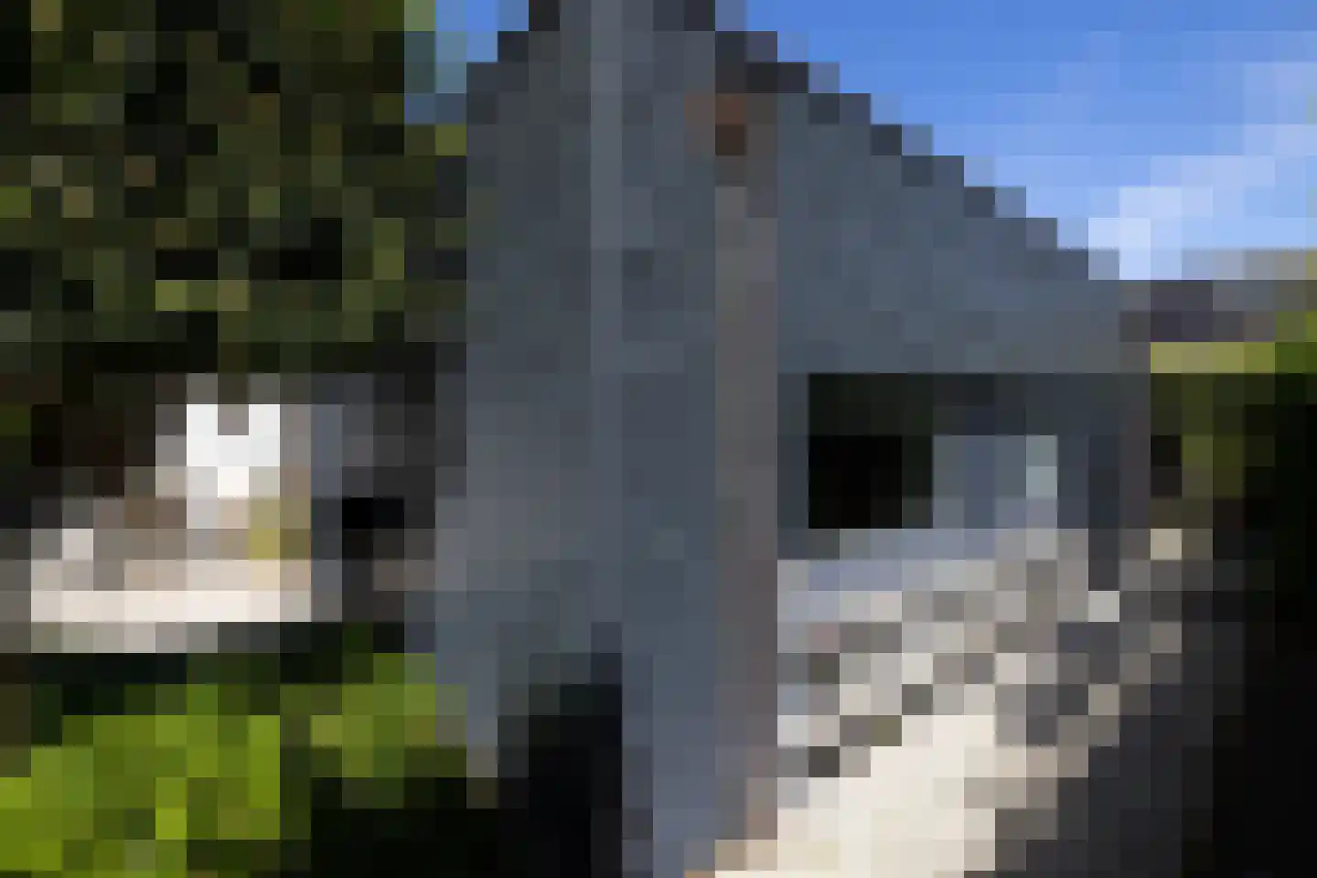 Berg en Bos 3 Hattem thumbnail 63