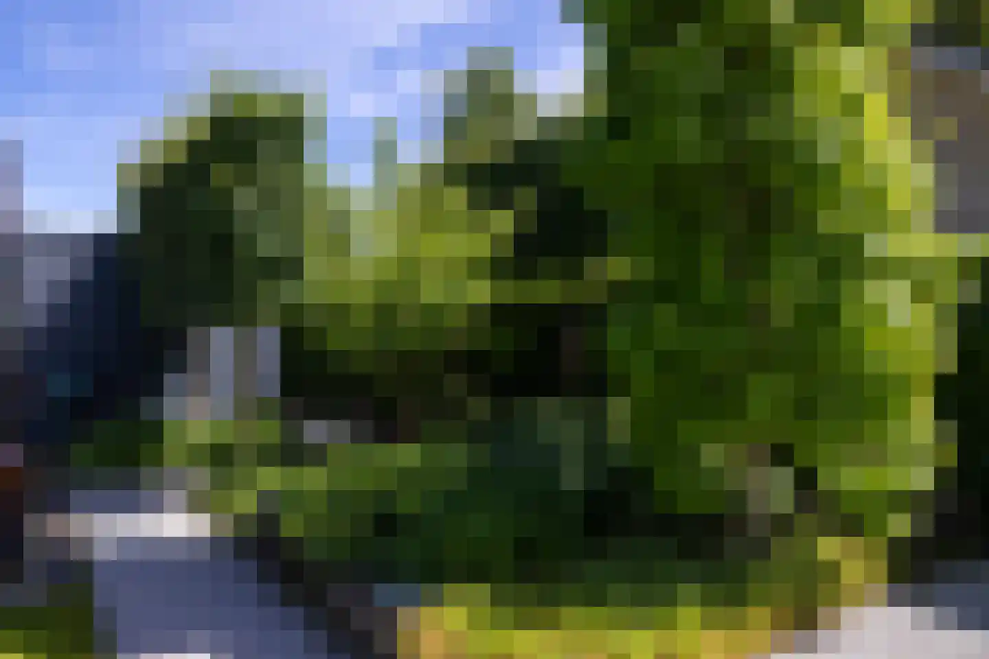 Berg en Bos 3 Hattem thumbnail 64