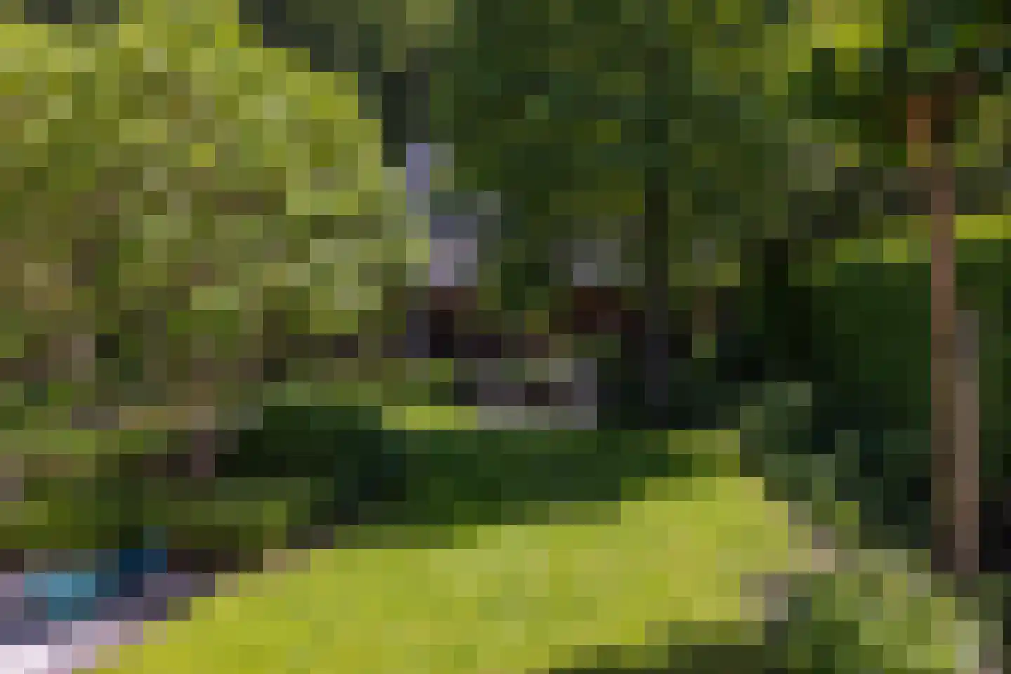 Berg en Bos 3 Hattem thumbnail 65