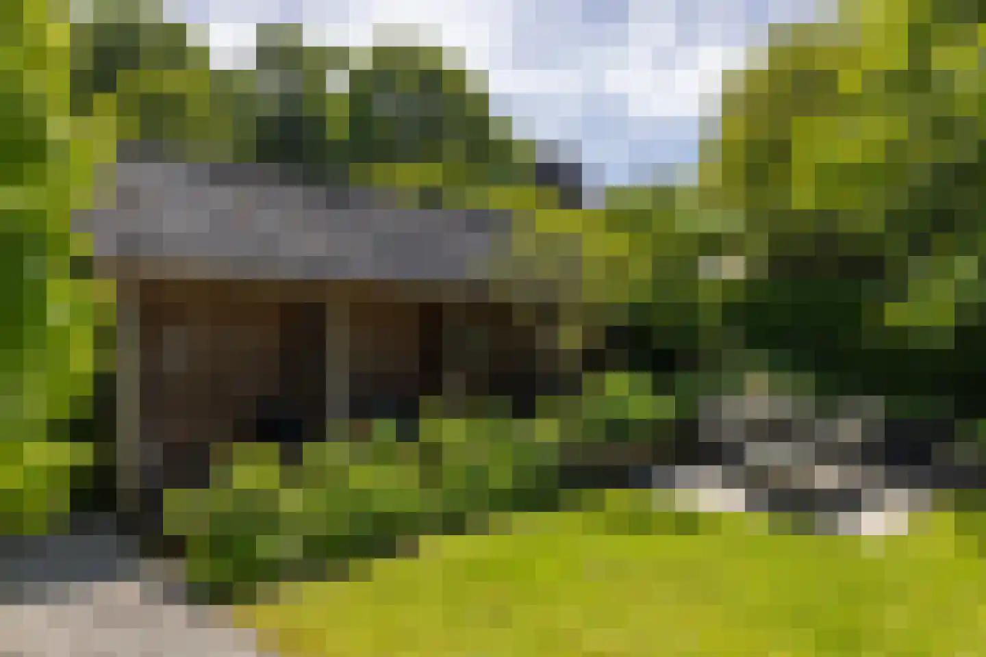 Berg en Bos 3 Hattem thumbnail 66