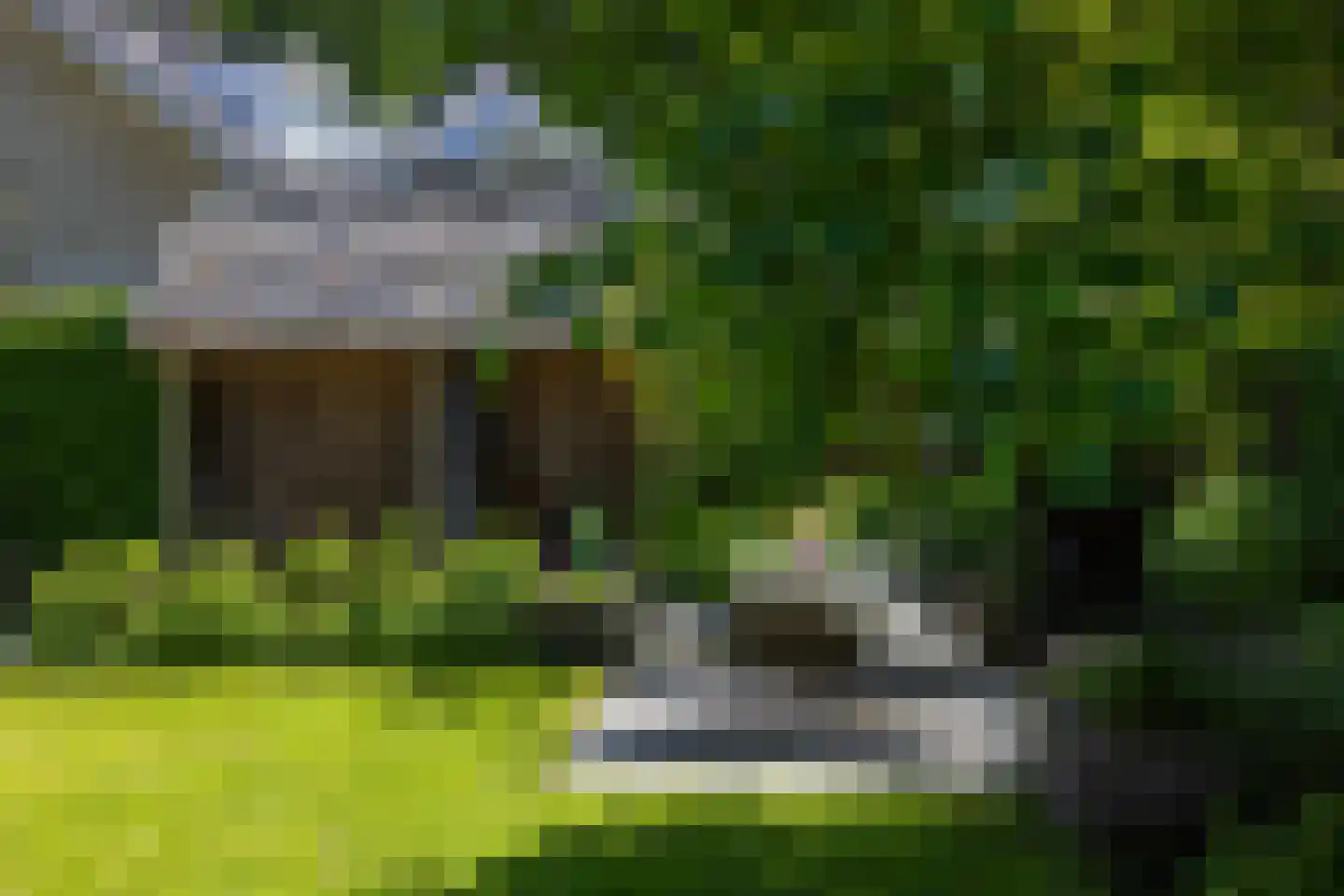 Berg en Bos 3 Hattem thumbnail 67