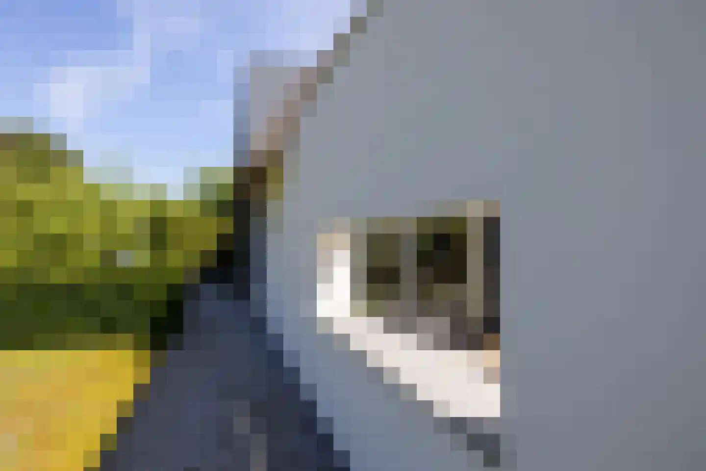 Berg en Bos 3 Hattem thumbnail 69