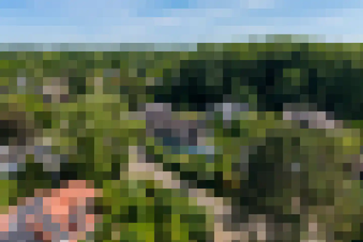 Berg en Bos 3 Hattem thumbnail 7