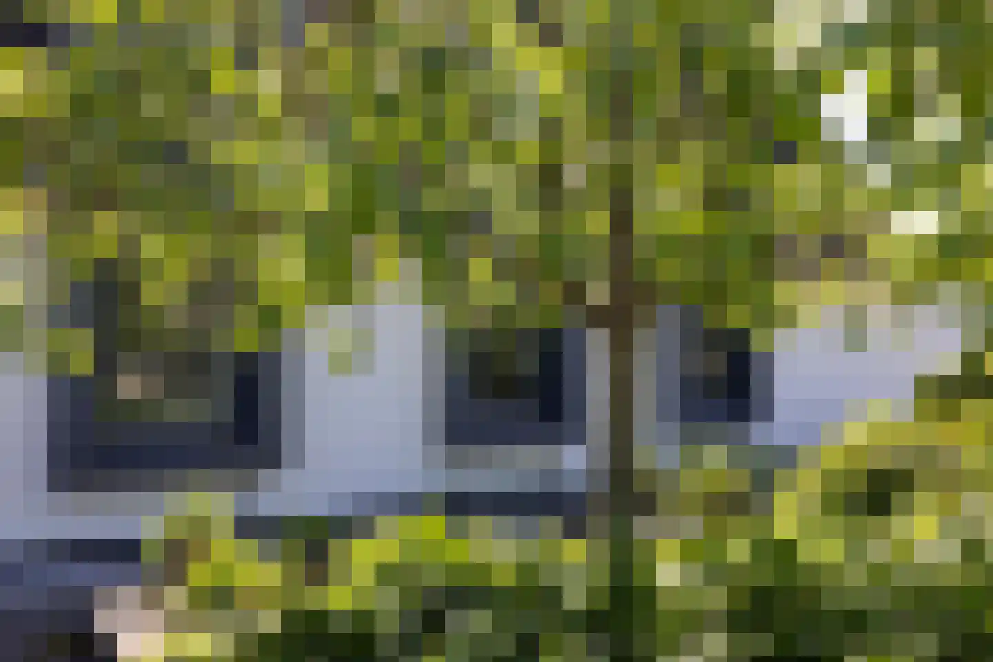 Berg en Bos 3 Hattem thumbnail 72