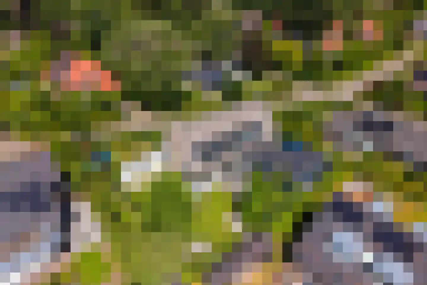Berg en Bos 3 Hattem thumbnail 74