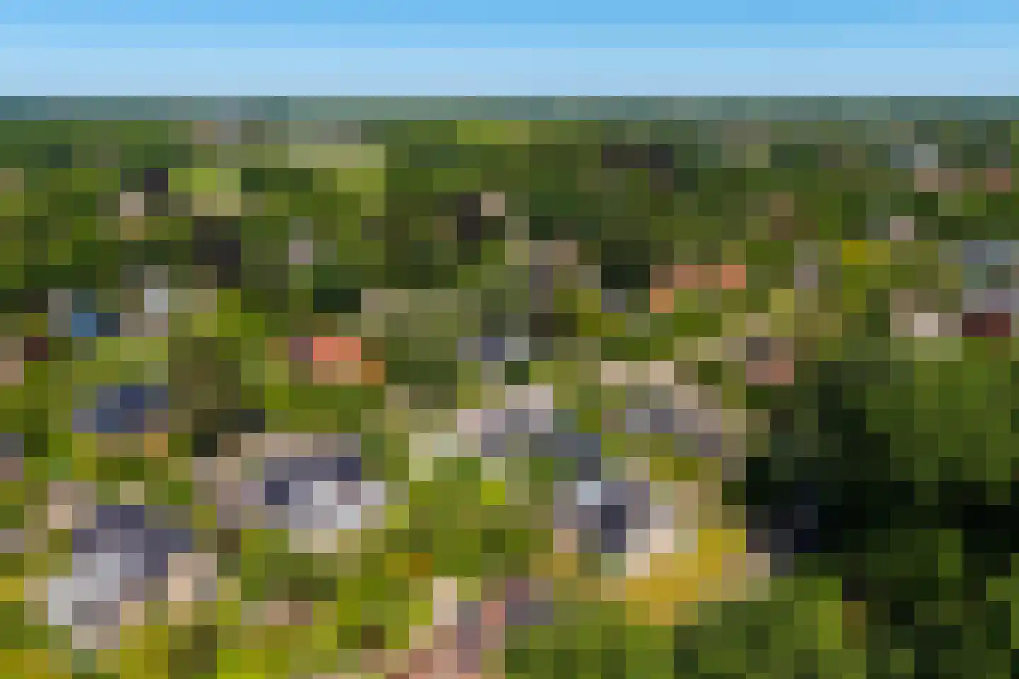 Berg en Bos 3 Hattem thumbnail 75