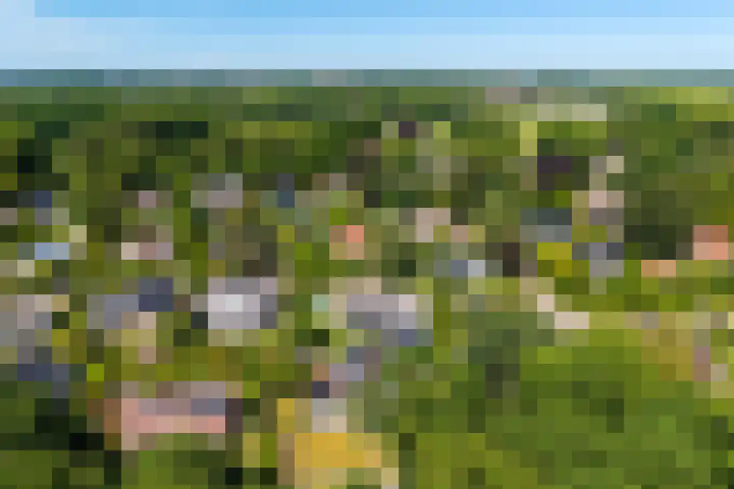 Berg en Bos 3 Hattem thumbnail 76