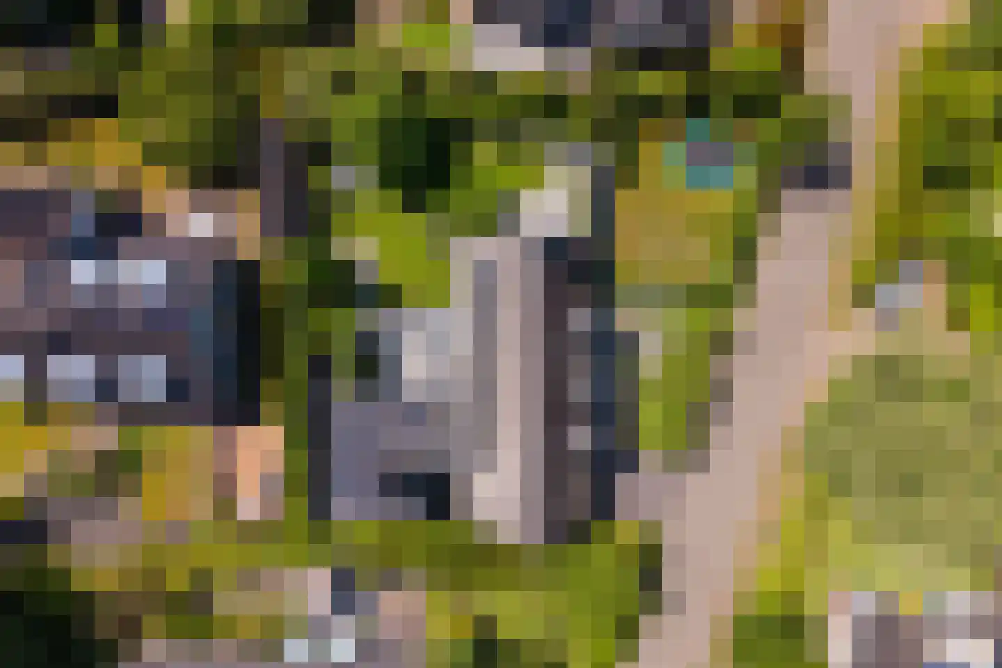 Berg en Bos 3 Hattem thumbnail 77
