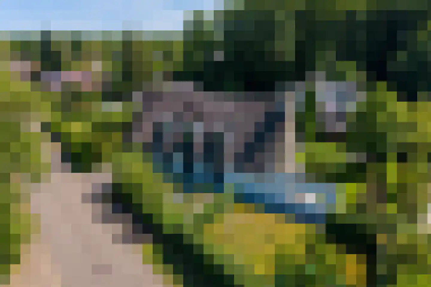 Berg en Bos 3 Hattem thumbnail 78