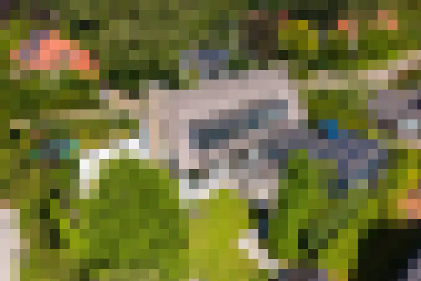 Berg en Bos 3 Hattem thumbnail 8