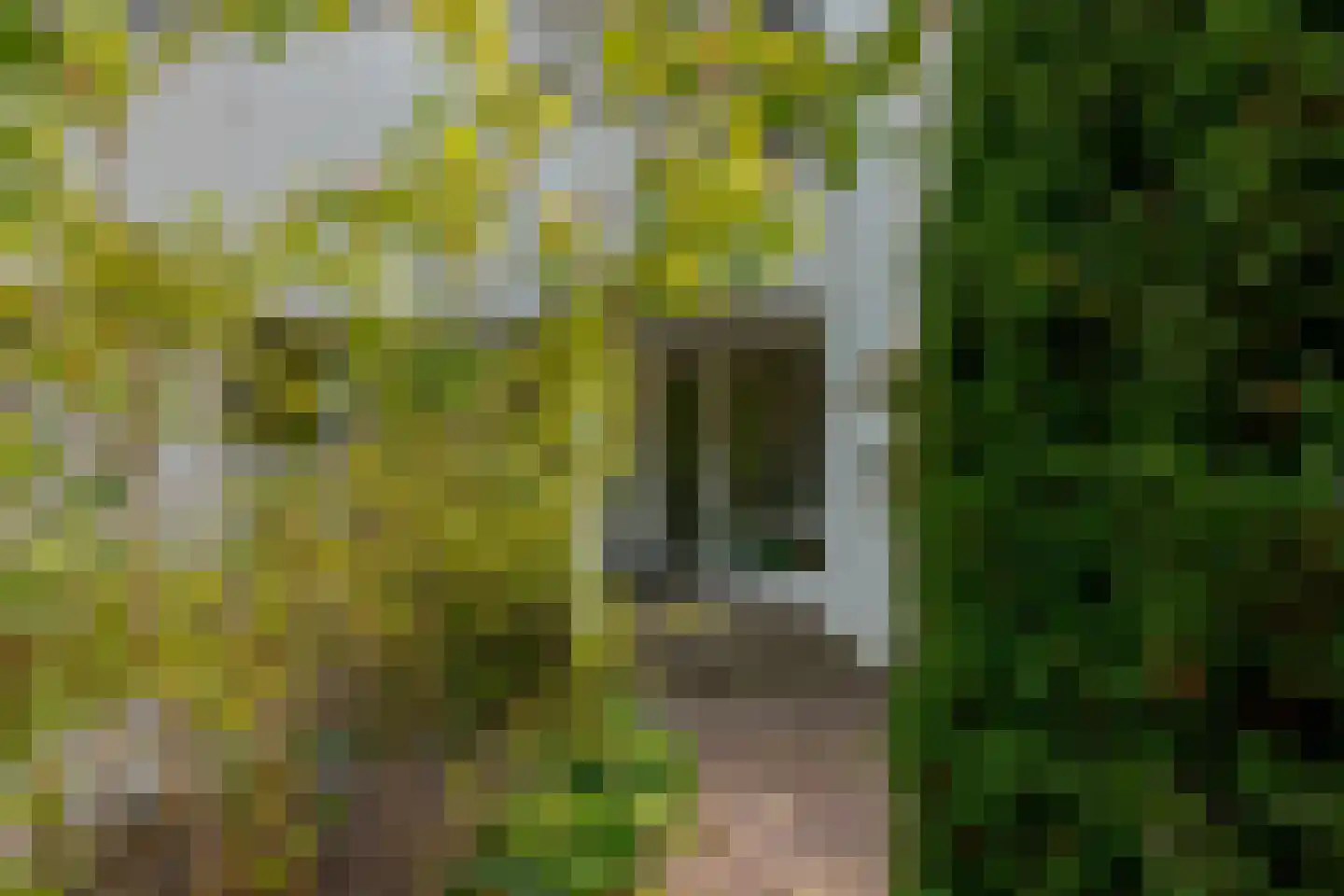 Berg en Bos 32 Hattem thumbnail 10