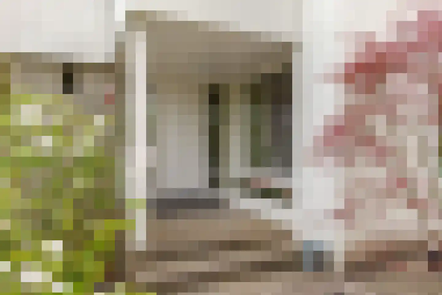 Berg en Bos 32 Hattem thumbnail 11