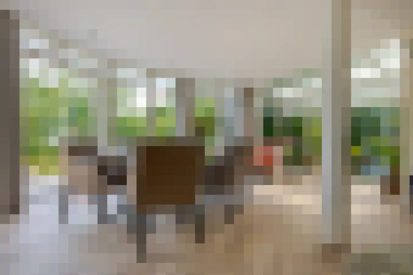 Berg en Bos 32 Hattem thumbnail 22