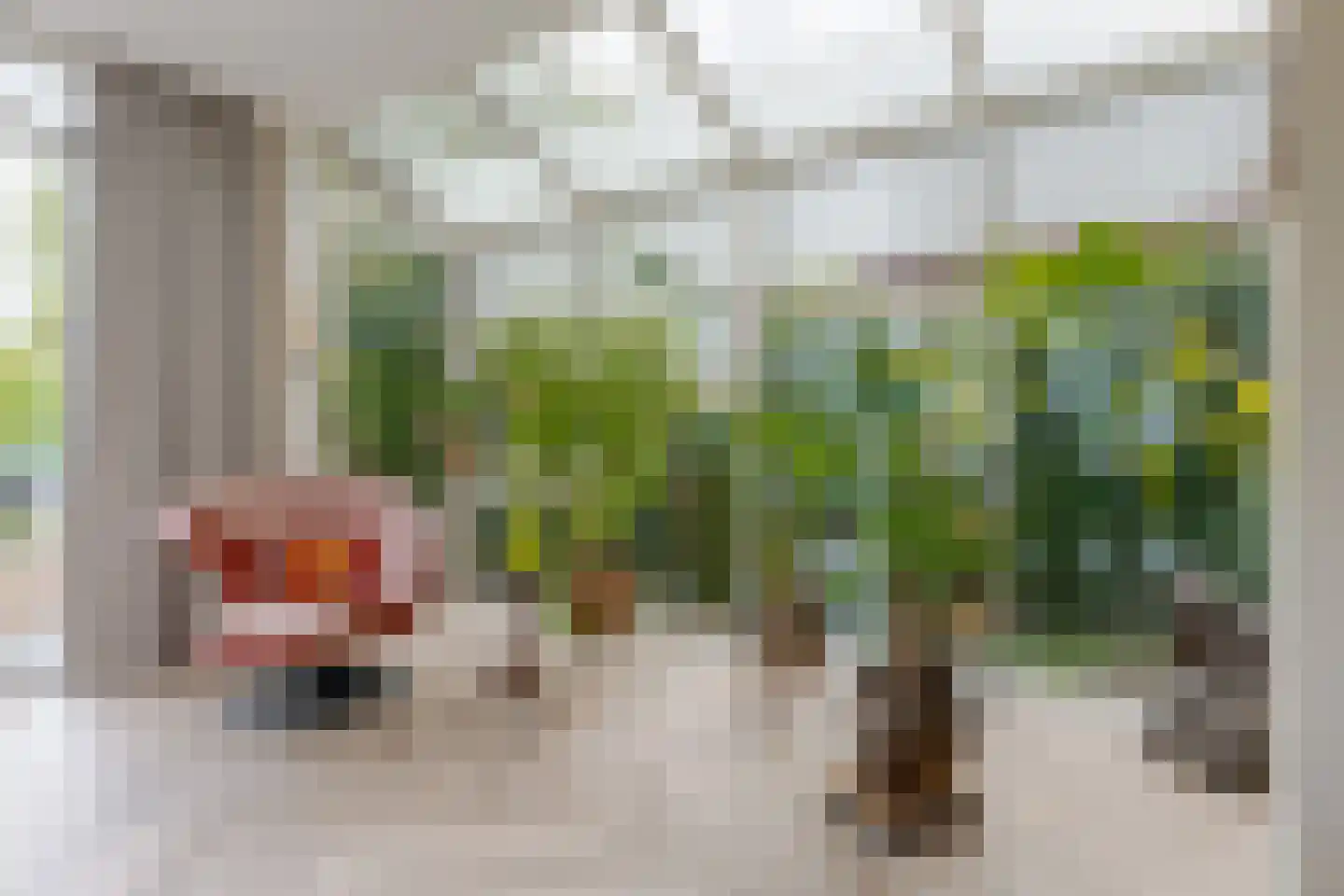 Berg en Bos 32 Hattem thumbnail 24