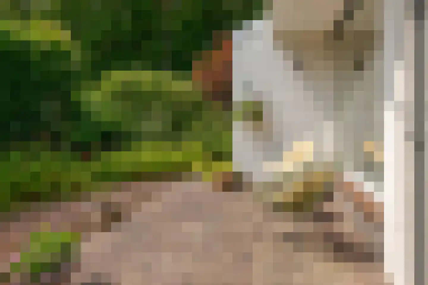 Berg en Bos 32 Hattem thumbnail 29