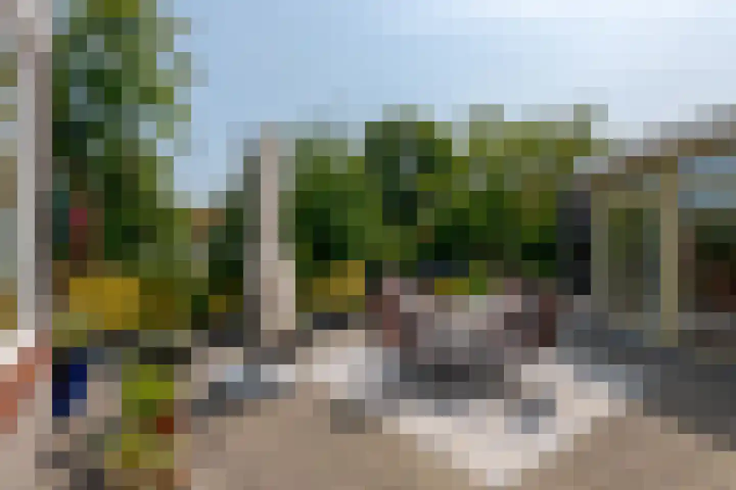 Berg en Bos 32 Hattem thumbnail 35
