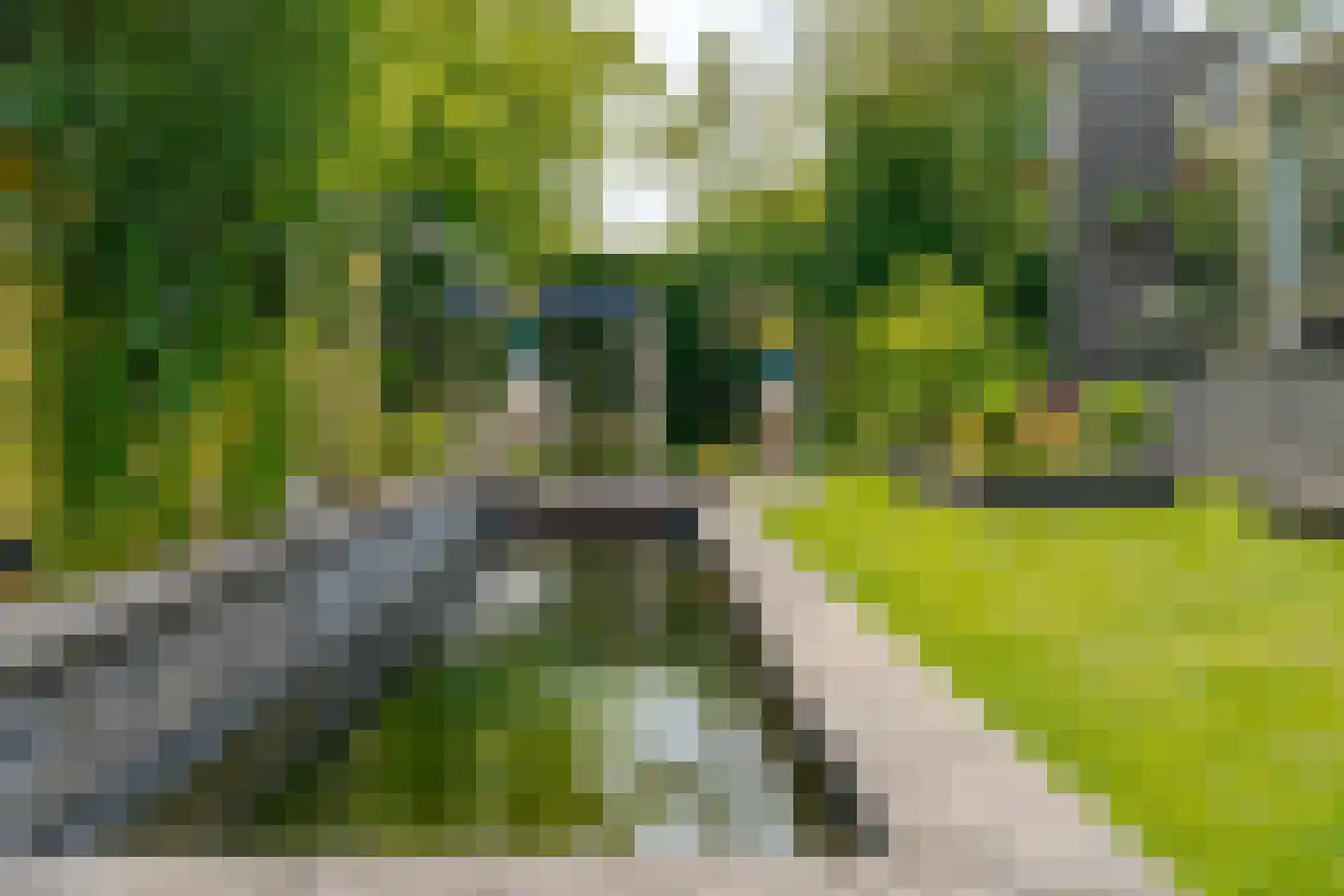 Berg en Bos 32 Hattem thumbnail 36