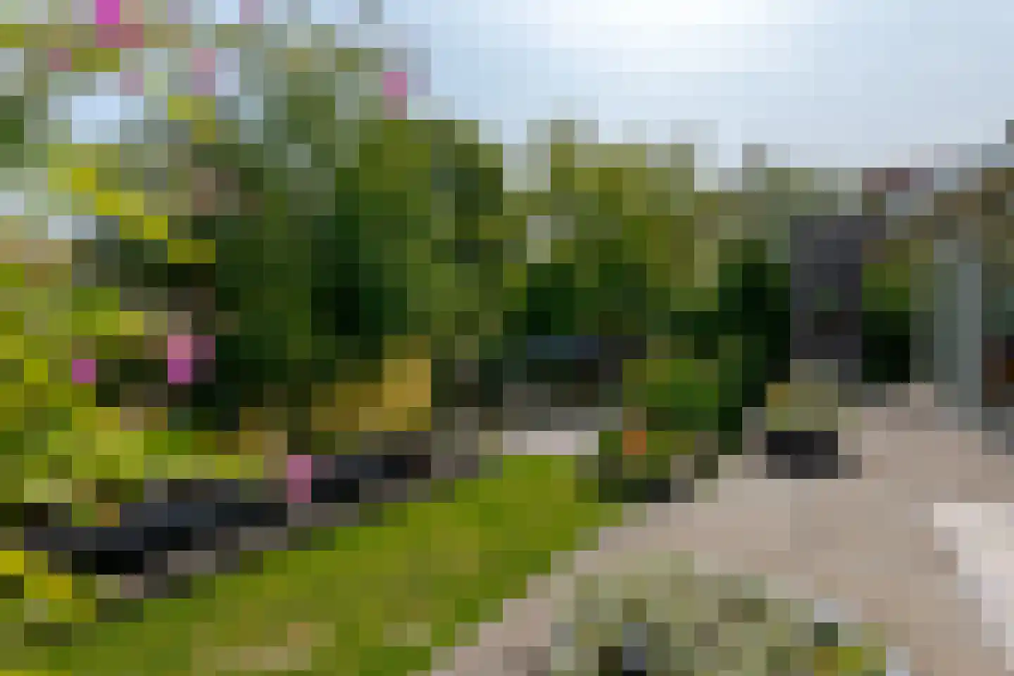 Berg en Bos 32 Hattem thumbnail 38