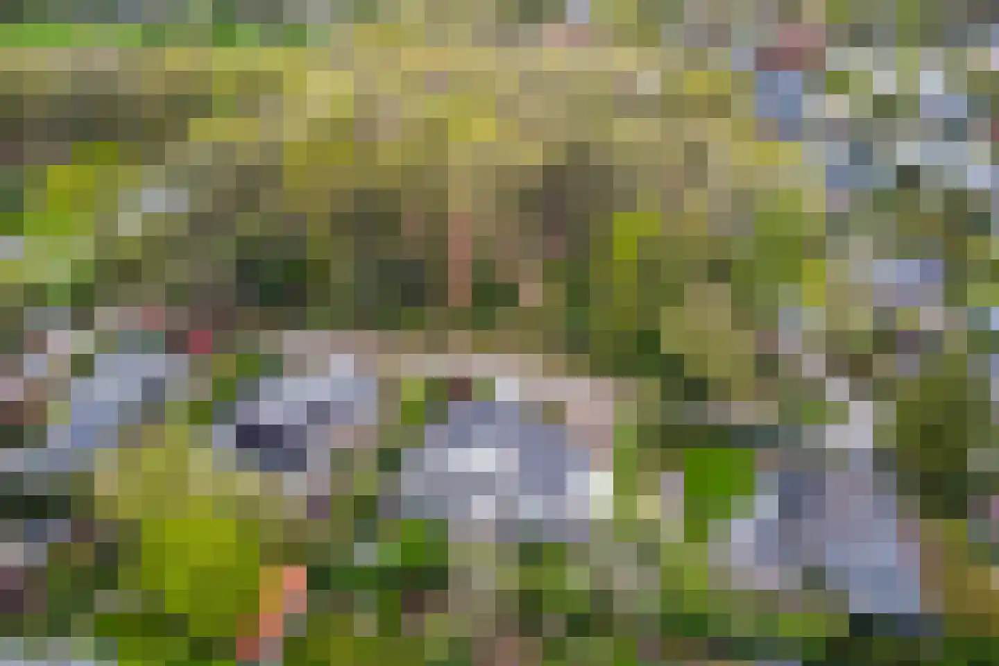 Berg en Bos 32 Hattem thumbnail 6