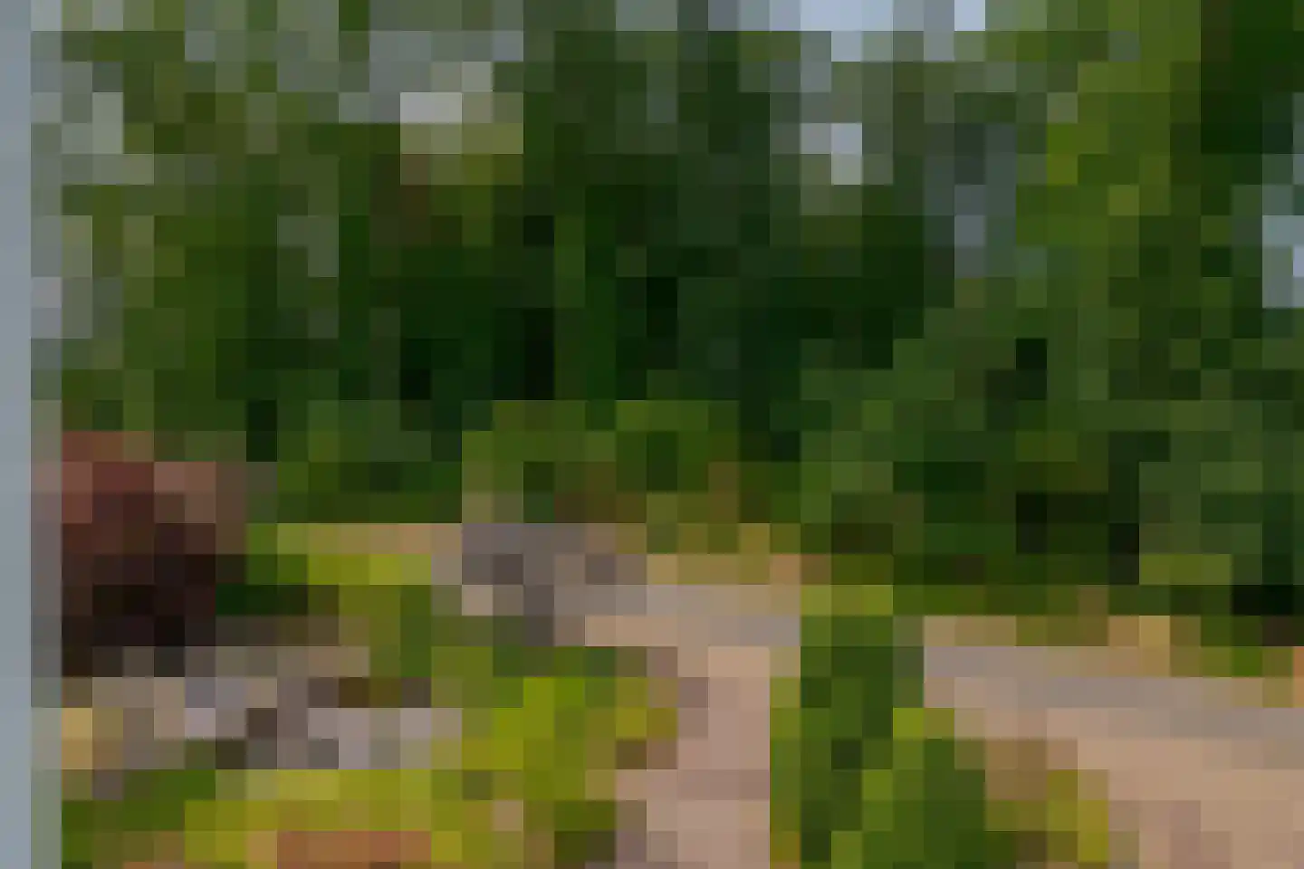 Berg en Bos 32 Hattem thumbnail 60