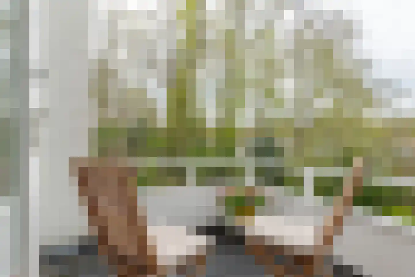 Berg en Bos 32 Hattem thumbnail 61