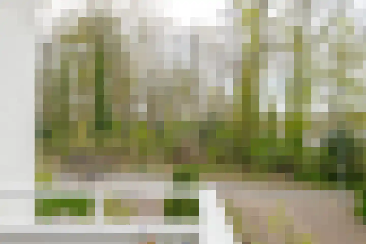 Berg en Bos 32 Hattem thumbnail 62