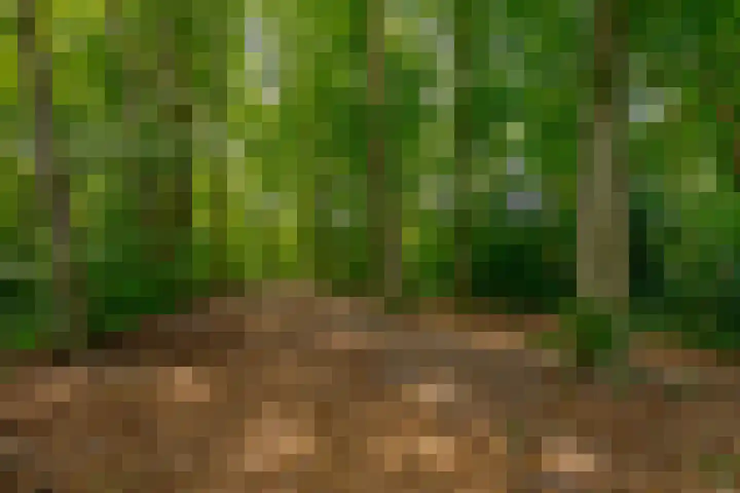 Berg en Bos 32 Hattem thumbnail 72