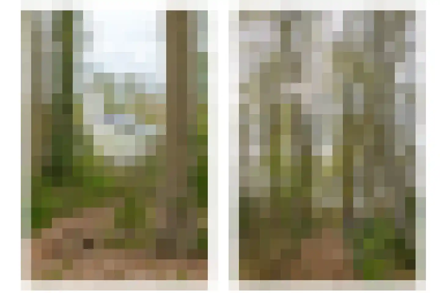 Berg en Bos 32 Hattem thumbnail 74