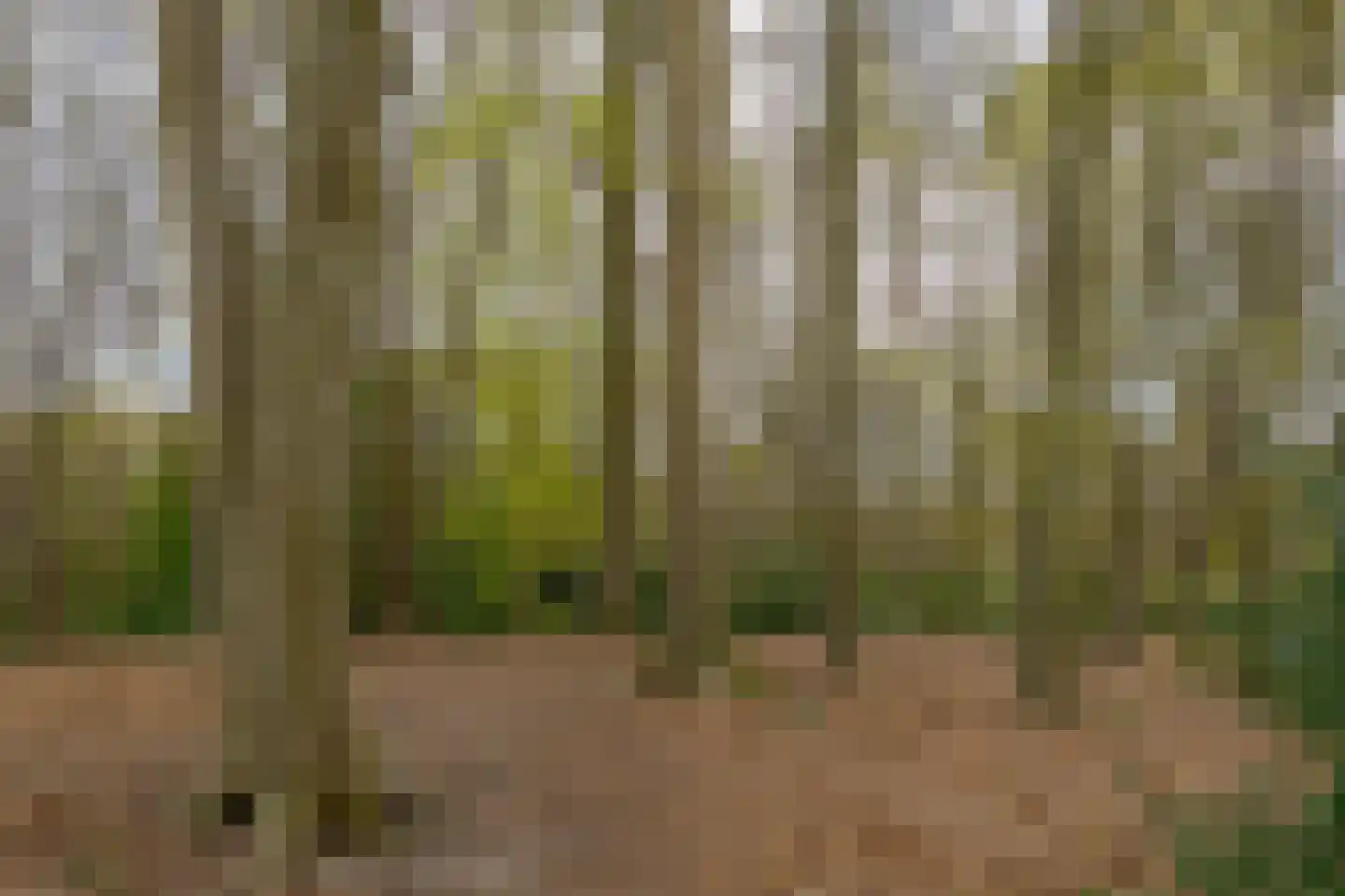 Berg en Bos 32 Hattem thumbnail 75