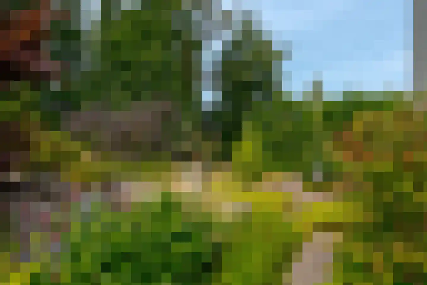 Berg en Bos 32 Hattem thumbnail 8