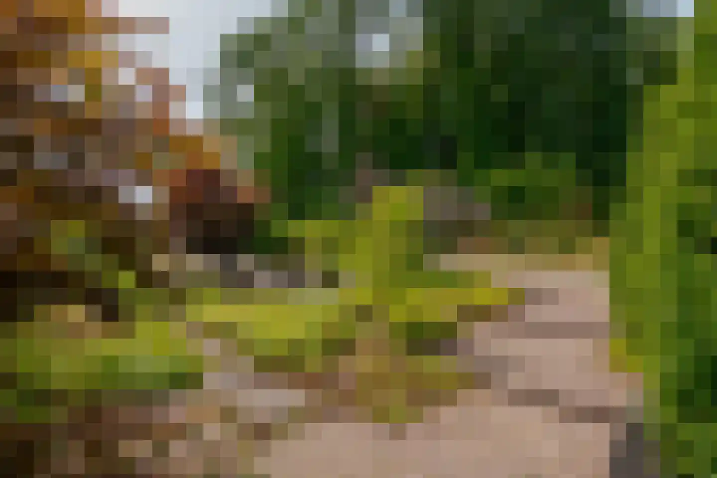 Berg en Bos 32 Hattem thumbnail 9