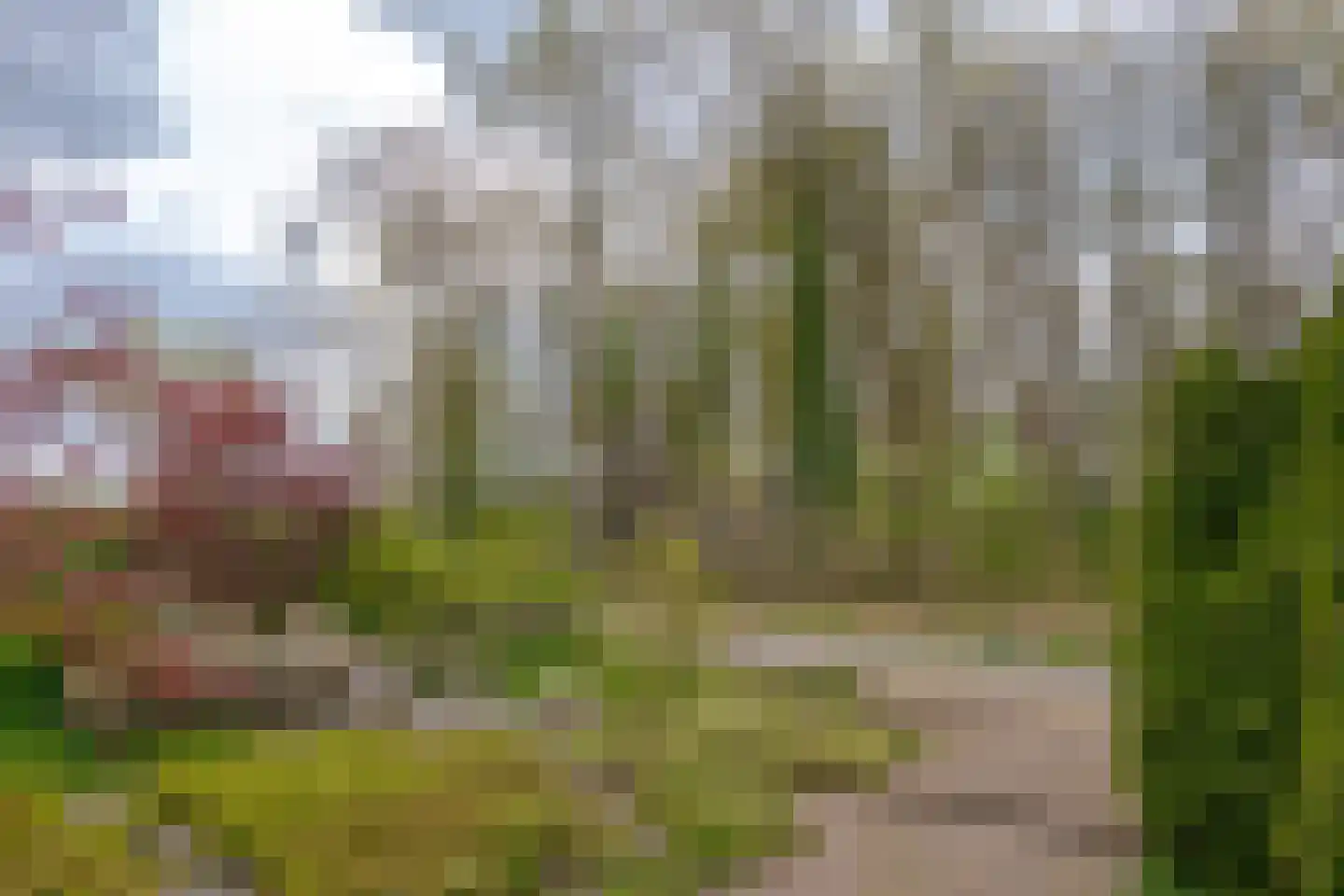 Berg en Bos 32 Hattem thumbnail 9
