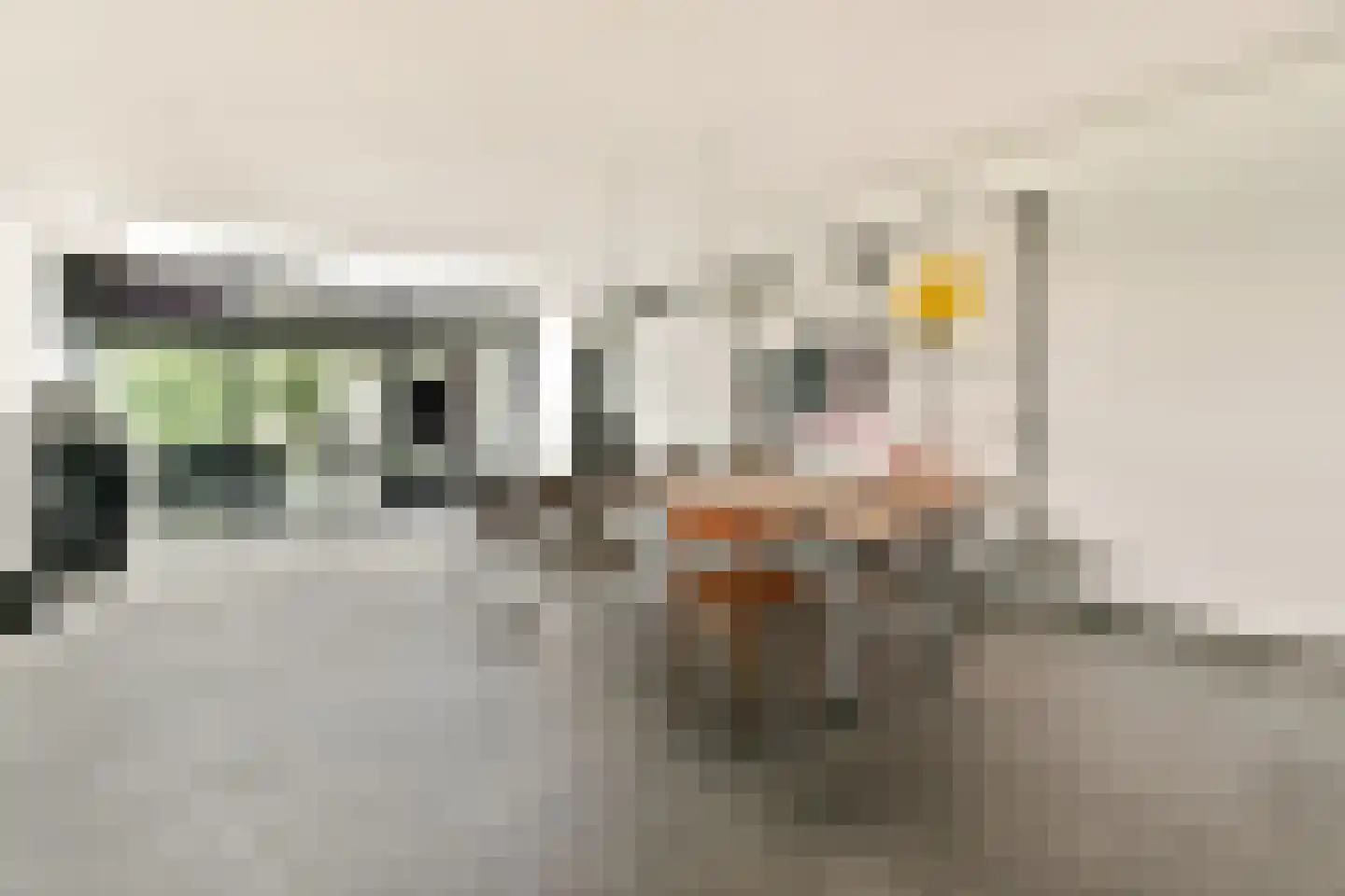 Berg en Daal 7 Voorhout thumbnail 11