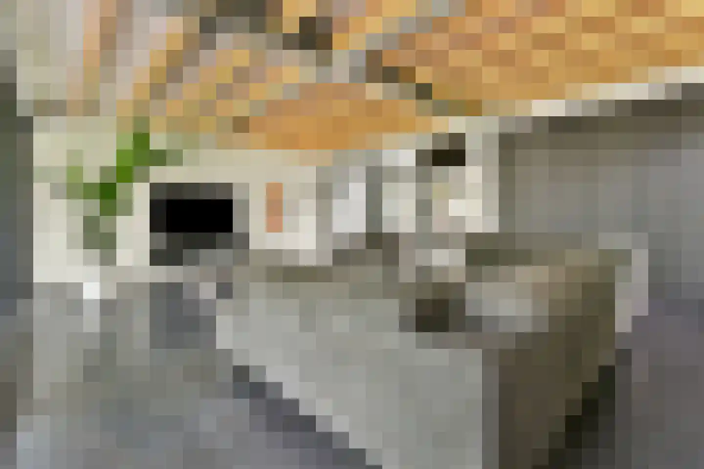 Berg en Daal 7 Voorhout thumbnail 15