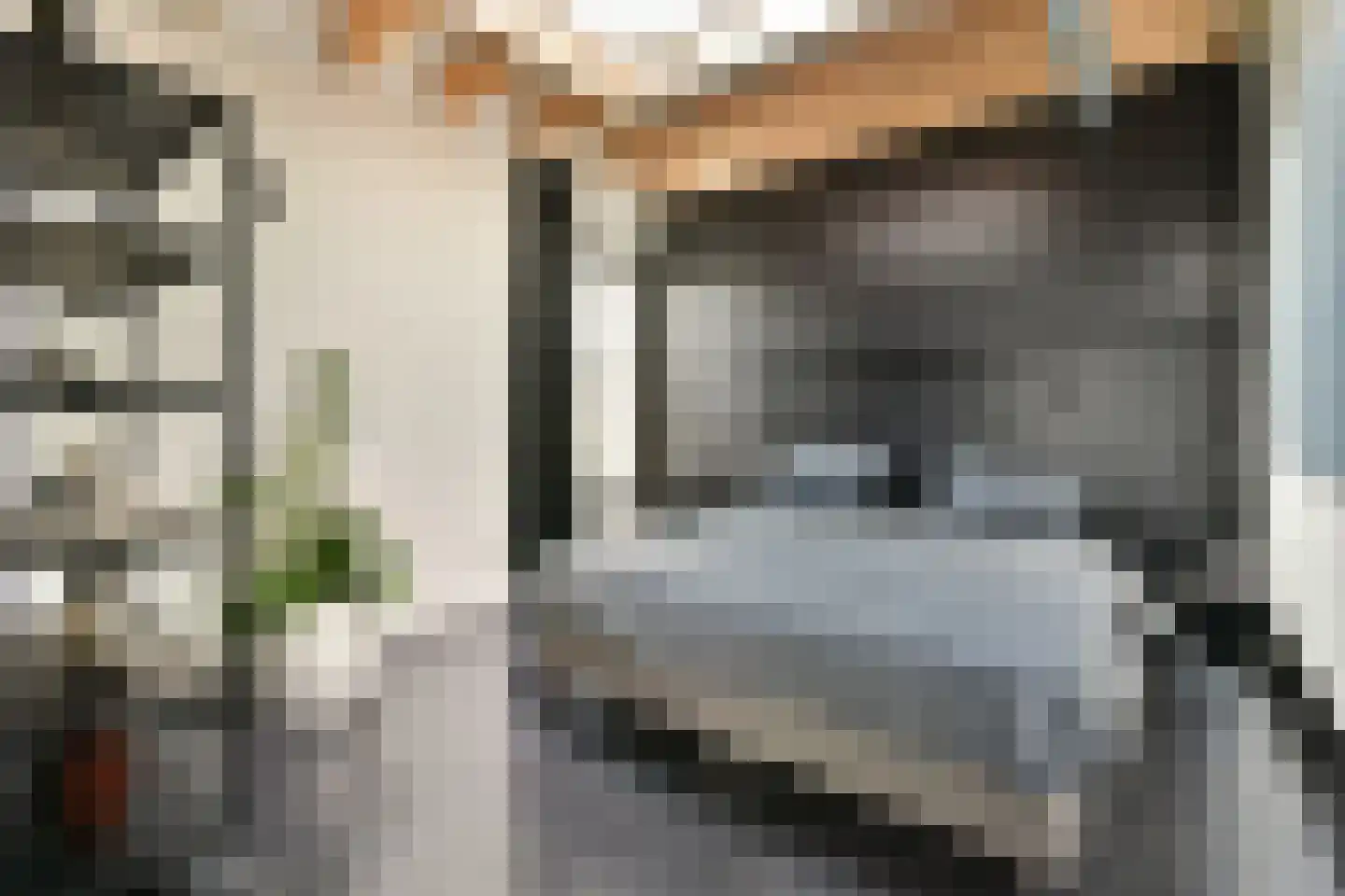 Berg en Daal 7 Voorhout thumbnail 17