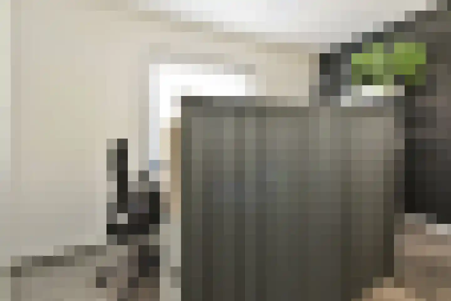 Berg en Daal 7 Voorhout thumbnail 23