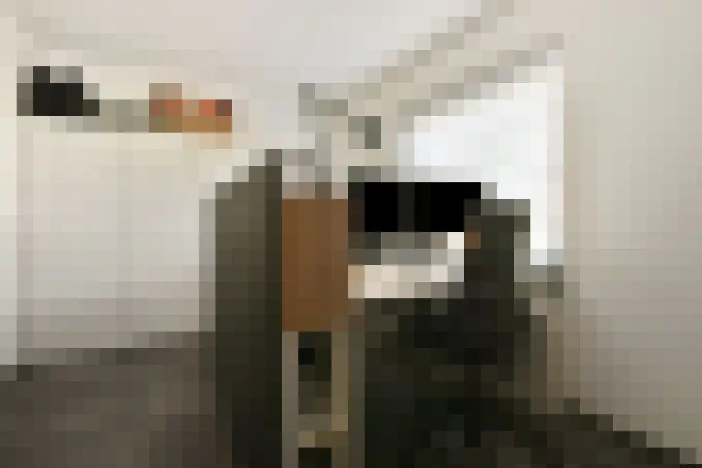 Berg en Daal 7 Voorhout thumbnail 24