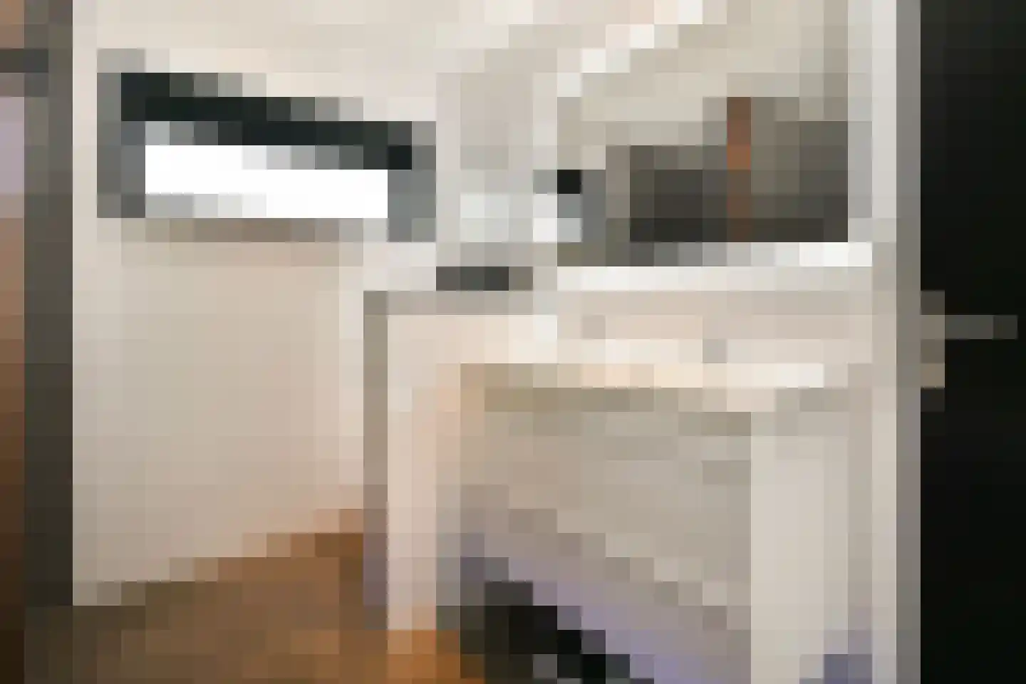 Berg en Daal 7 Voorhout thumbnail 26
