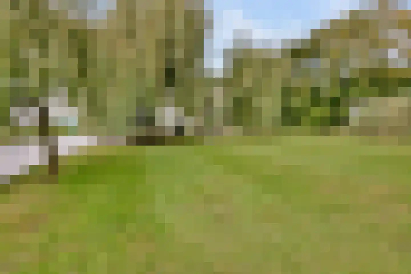 Berg en Daal 7 Voorhout thumbnail 32