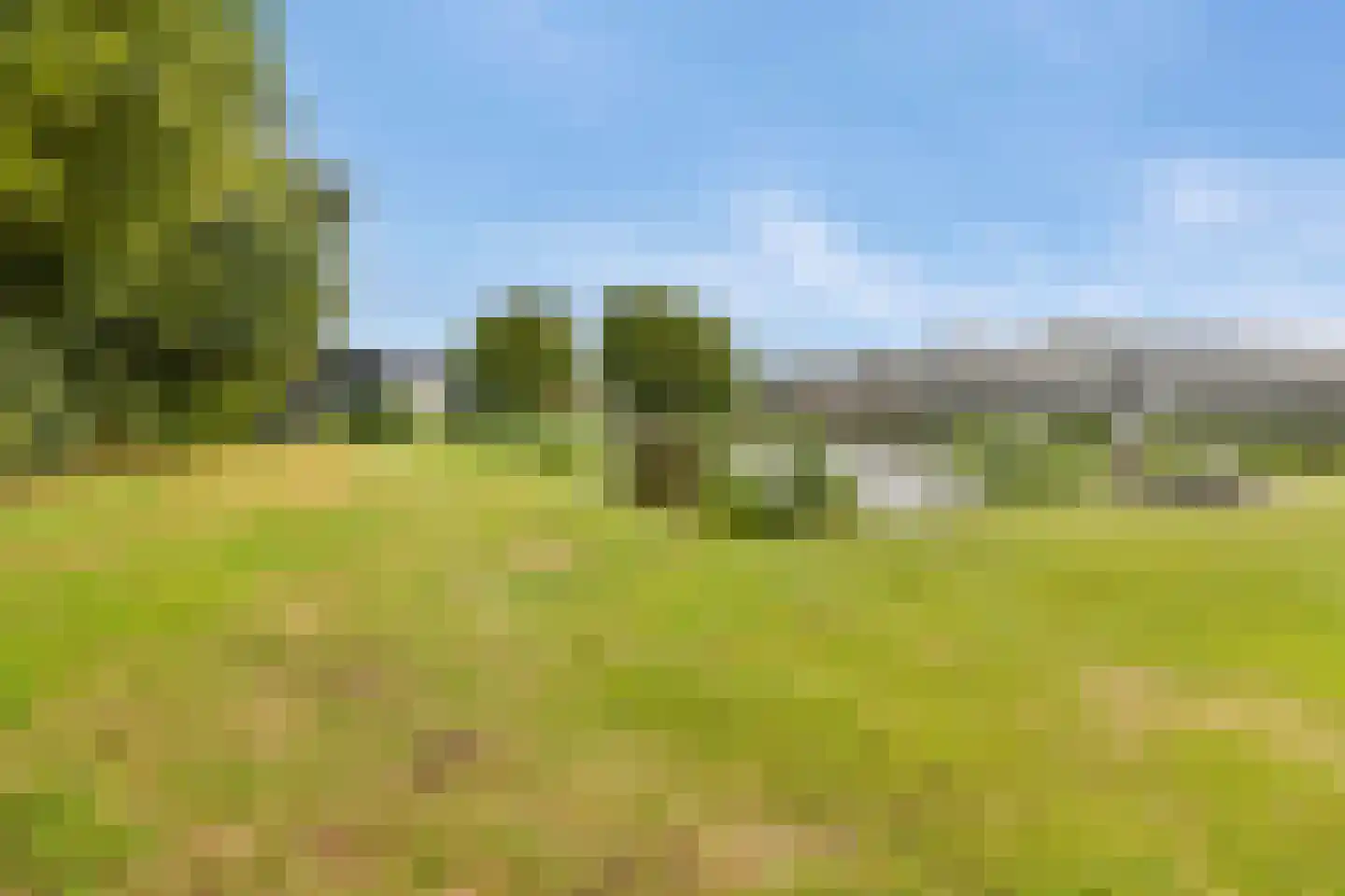 Berg en Daal 7 Voorhout thumbnail 33