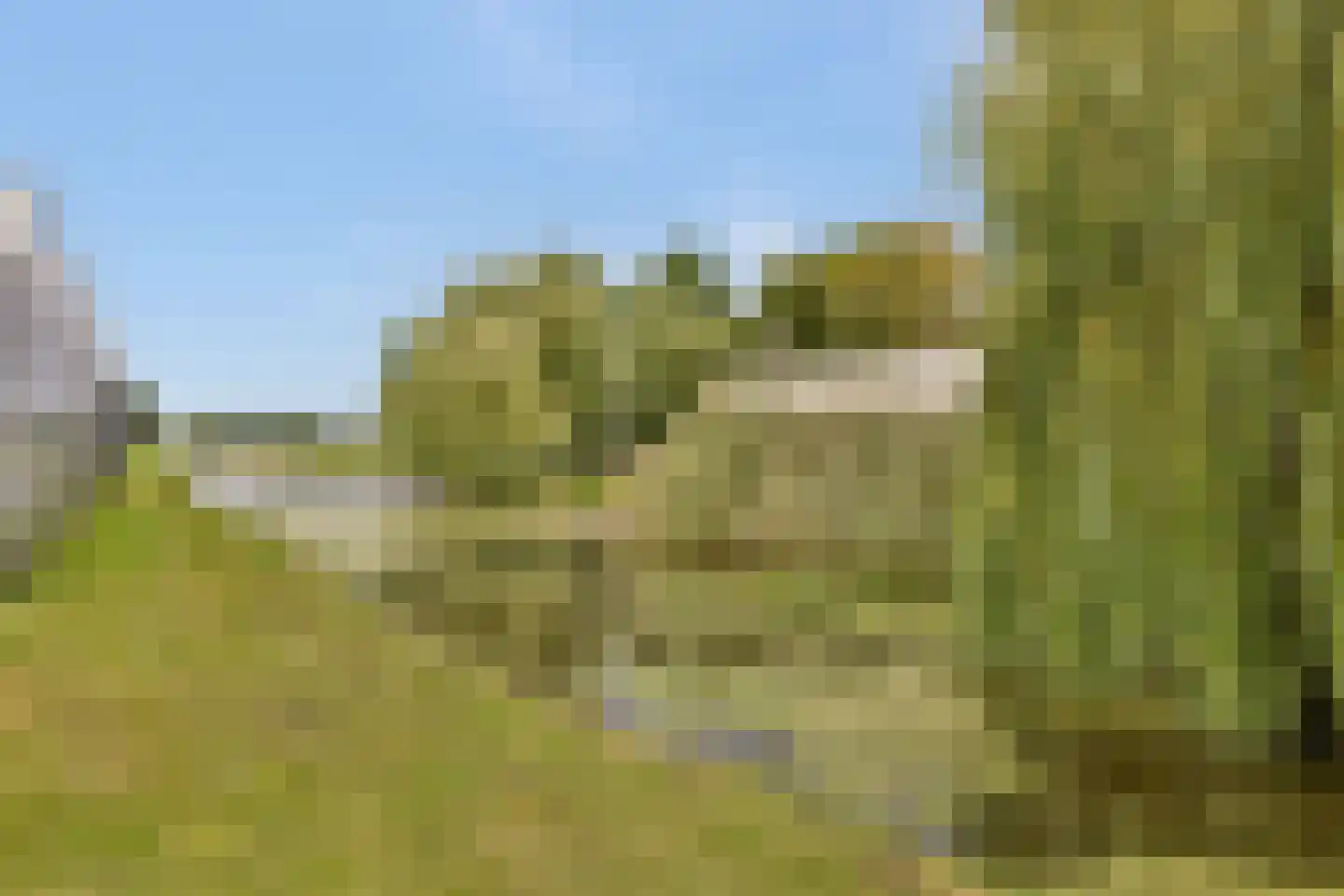 Berg en Daal 7 Voorhout thumbnail 34