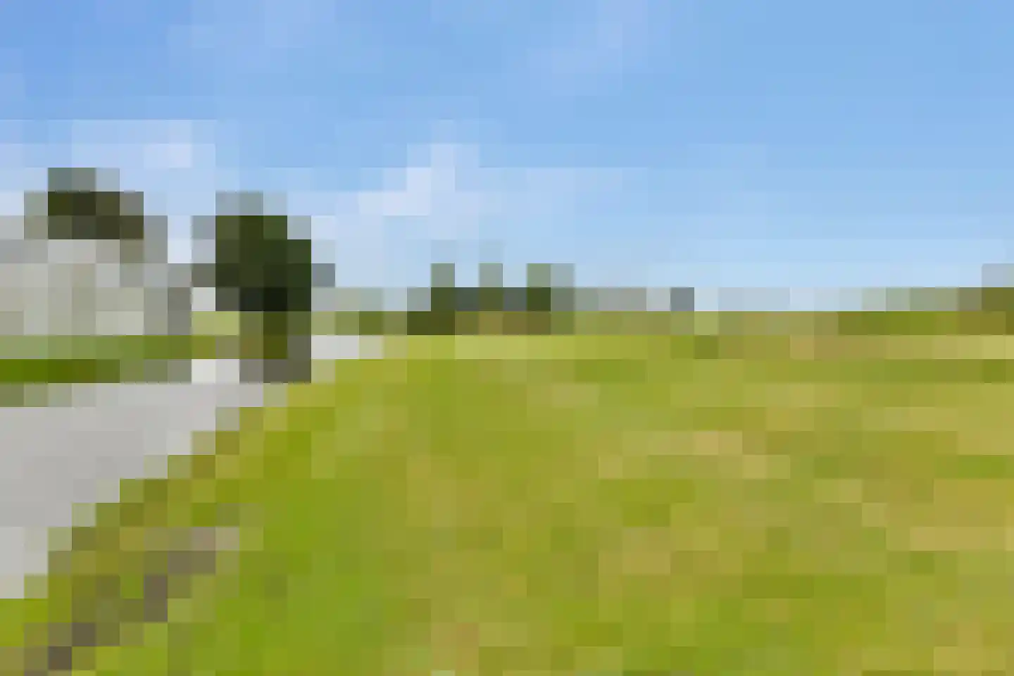 Berg en Daal 7 Voorhout thumbnail 35