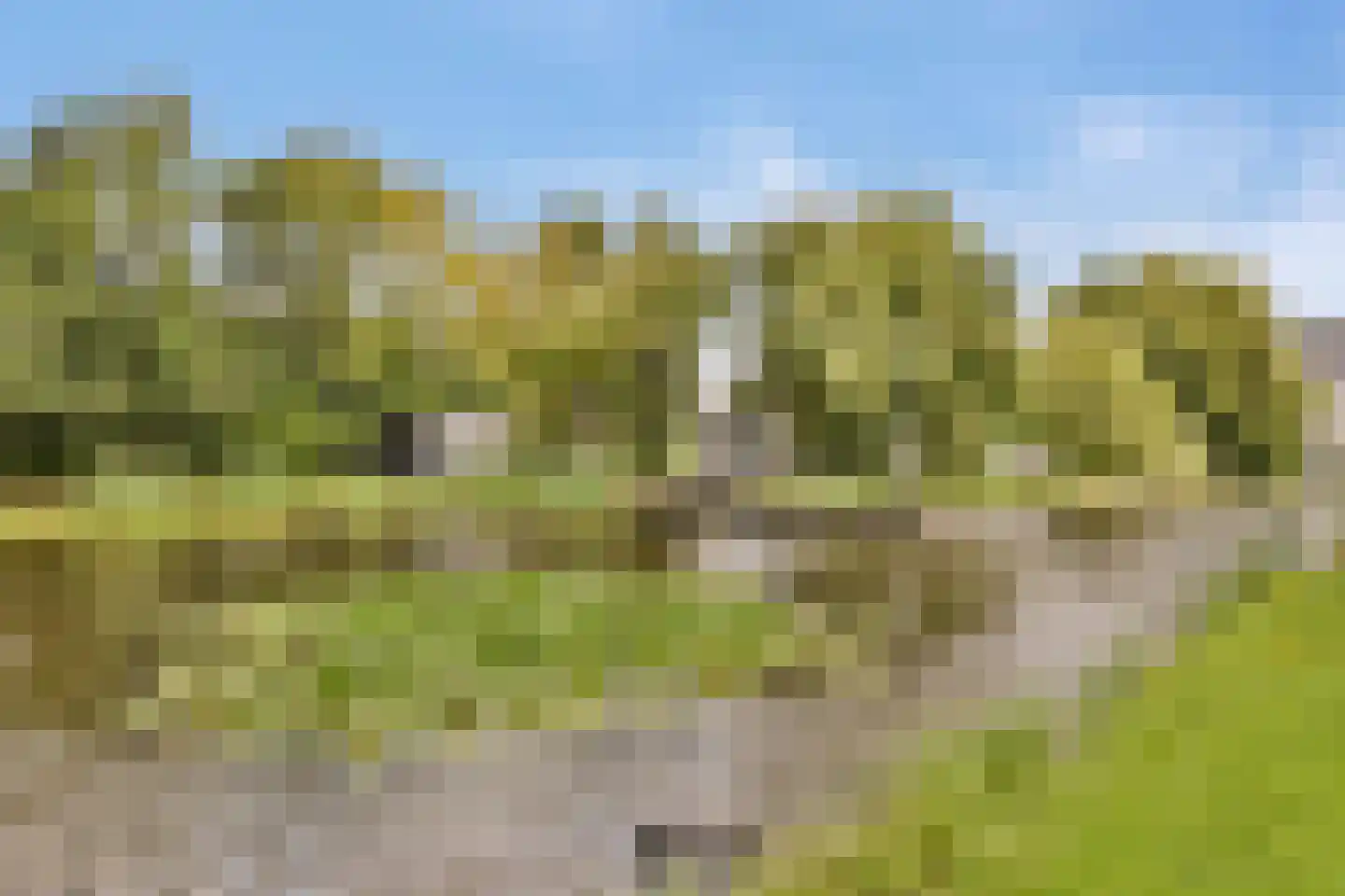 Berg en Daal 7 Voorhout thumbnail 4